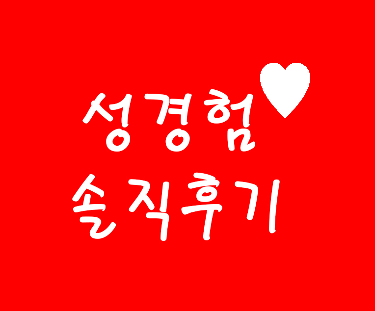 성경험 후기